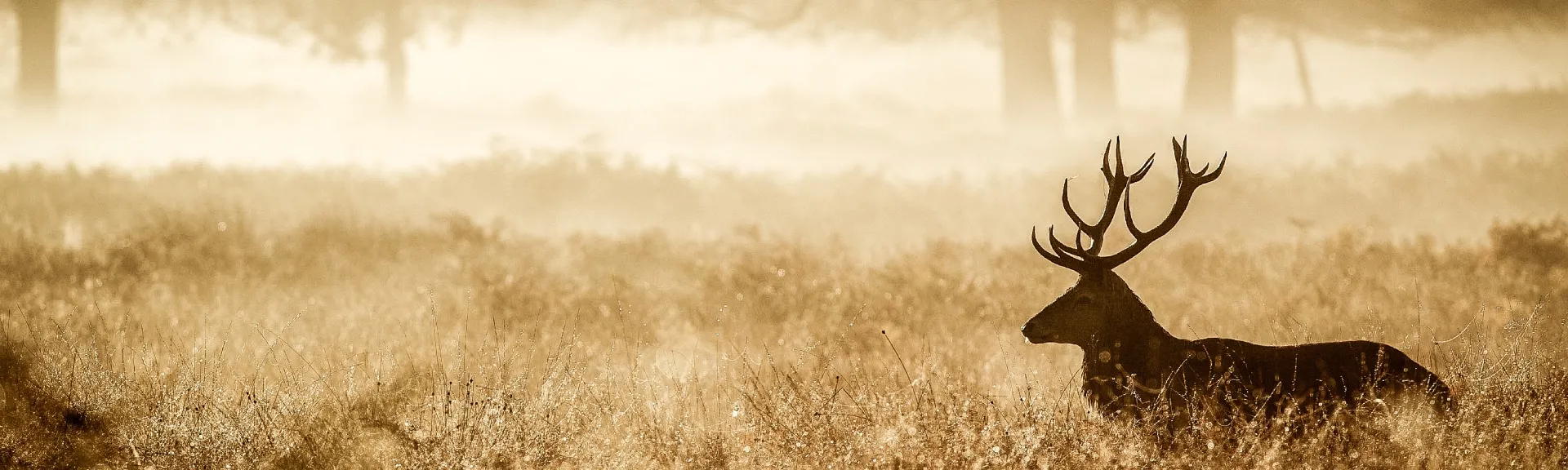 Natuur